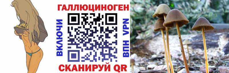 Псилоцибиновые грибы мицелий  Безенчук 